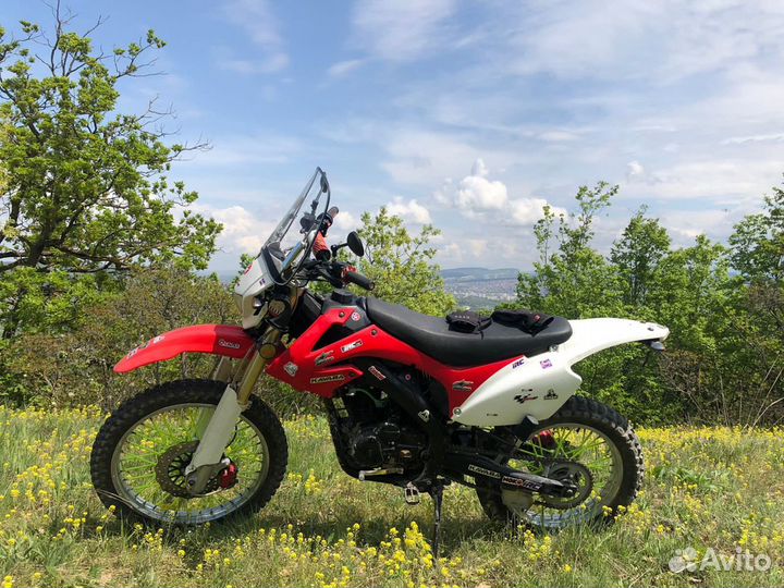 Ekonika sport 004 andes