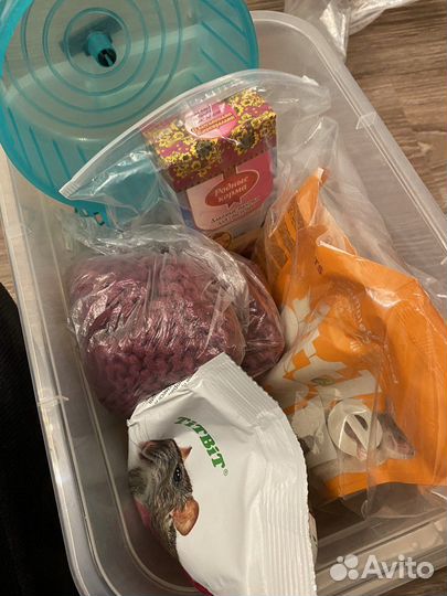 Корм для грызунов и колесо