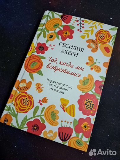 Год, когда мы встретились. Сесилия Ахрен