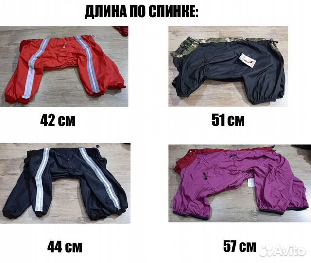 Новая одежда для собак