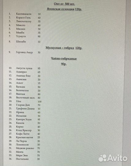 Саженцы роз (оптом)