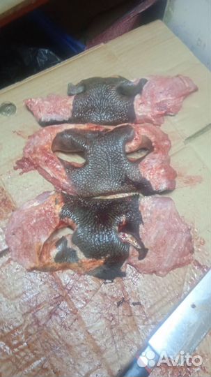 Мясо для собак. Говядина