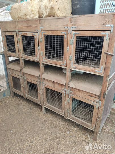Клетка для кролика