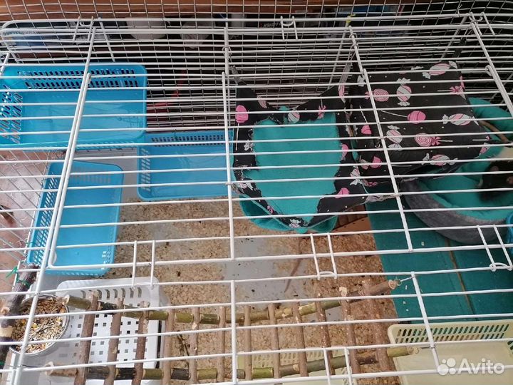 Клетка для грызунов