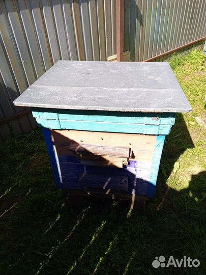 Улей для пчел