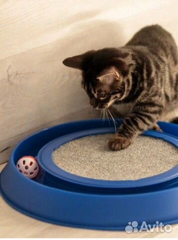 Когтеточка-трек для кошек