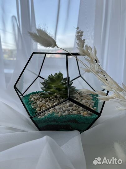 Флорариум с суккулентом