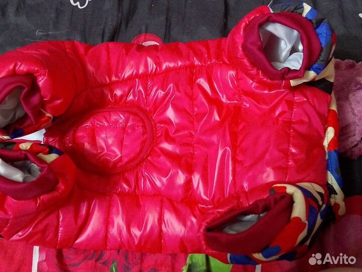 Одежда для животных