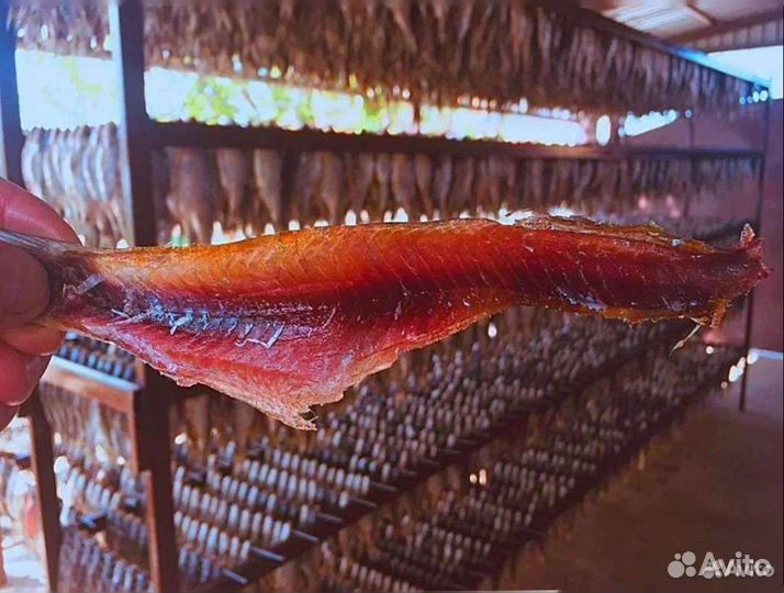 Вяленая и сушёная рыба сорога (вобла)