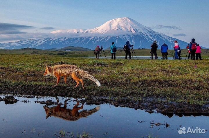 Вертолетные экскурсии на Камчатке