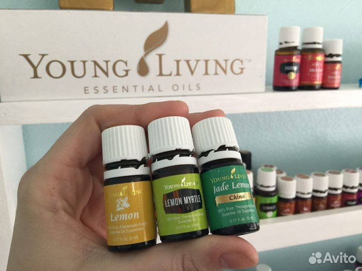 Лимонный мирт - эфирное масло Янг Ливинг