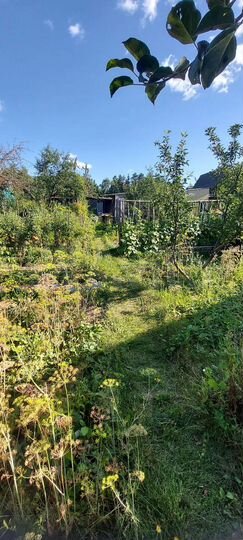 Дача 39 м² на участке 2,8 сот.