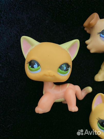 Оригинальная стоячка lps