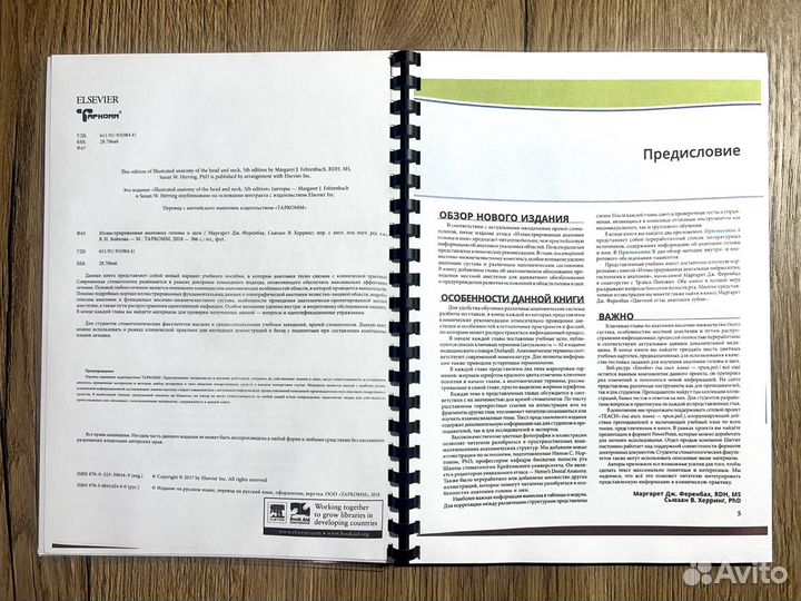 Иллюстрированная Анатомия головы и шеи