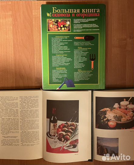 Ганичкина сад хозяйство грибы Фэн шуй доктор спок