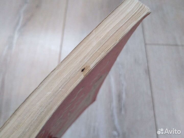 Н.Г. Цед, В.И. Андрейчук, Первый шаг к Кунг-фу