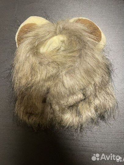 Львиная шапка для кота