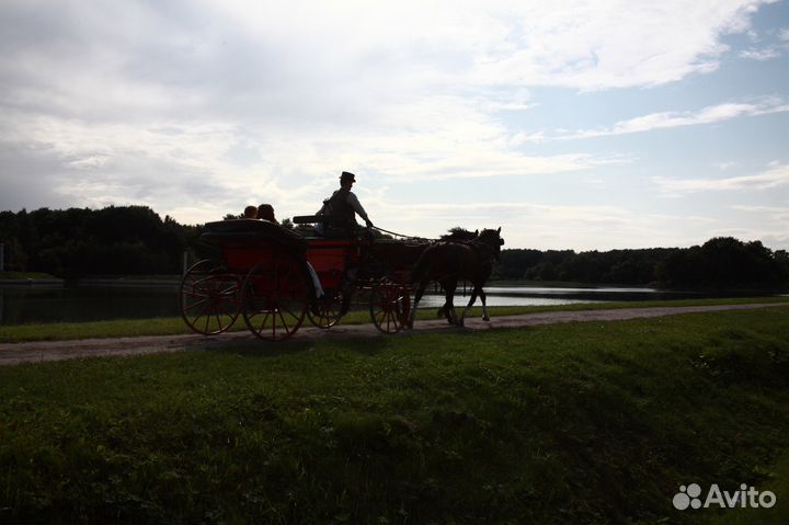 Свадебный фотограф