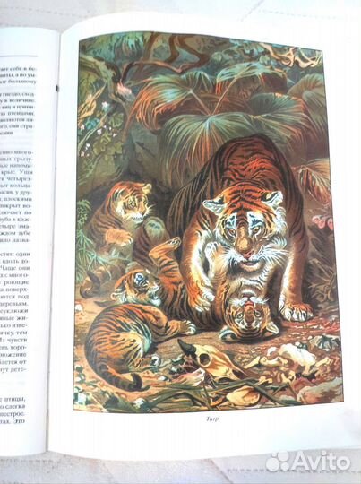 Жизнь животных, современное издание