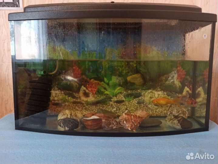 Аквариум