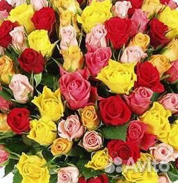 Купить Цветы Розы 25 шт Кемерово