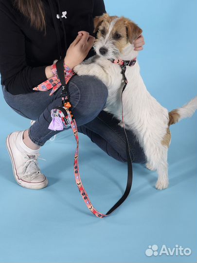 Поводок United Pets для собак Complete me Forever