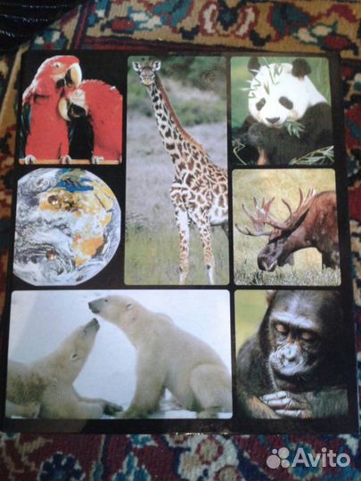 Энциклопедия 