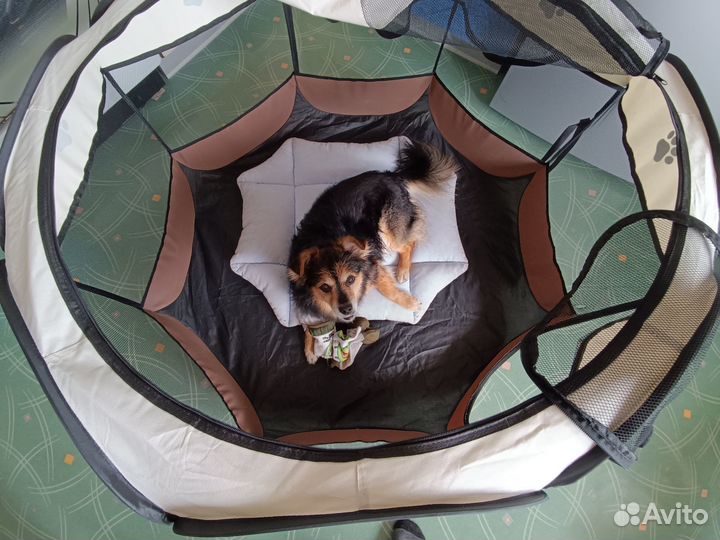 Вольер- тент Petzz для домашних животных 100х60см