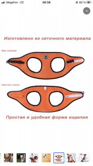Шлейка для маленькой собаки