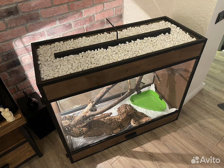 Императорский удав + террариум - биокамин