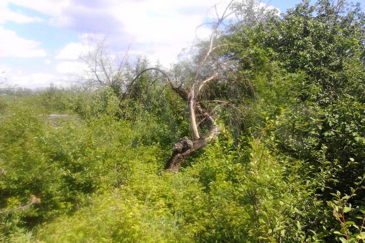 Дача 20 м² на участке 6 сот.