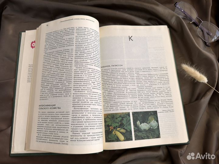 Энциклопедический словарь юного земледельца