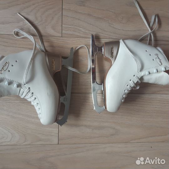 Sport коньки edea