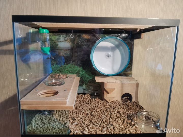 Аквариум 50х40х40 для мелких грызунов