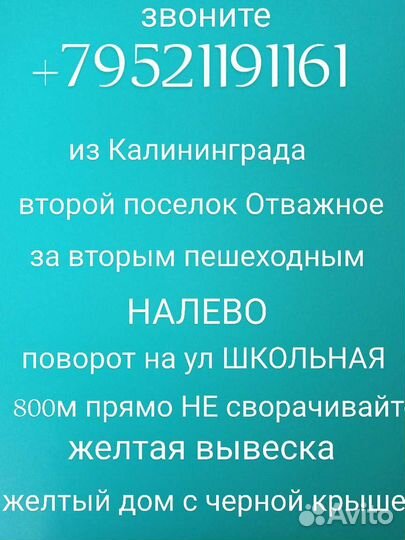 Персики саженцы в наличии информация в тексте