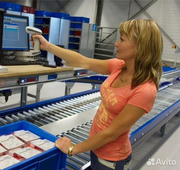 Можно в ночь.Берем всех.Граф. любой.Кормим.Сборщик