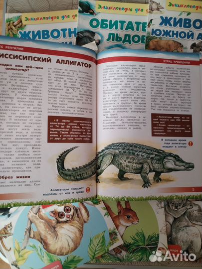 Энциклопедия для детей