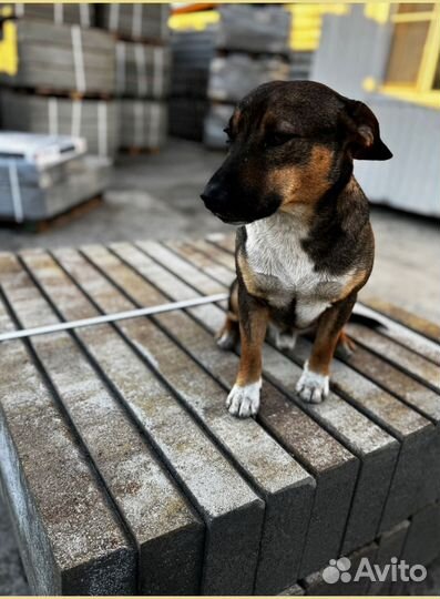 Тротуарная плитка Propress с гарантией от 120 м2