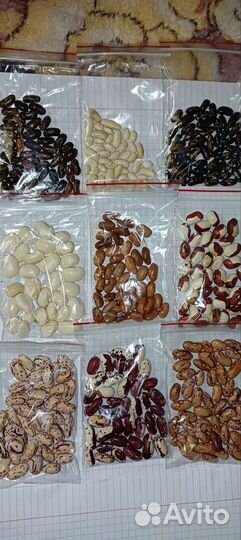 Семена.фасоль разные сорта