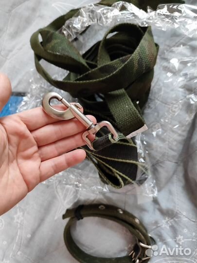 Ошейник и поводок