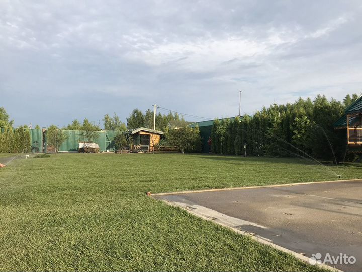 Рулонный газон в Туле