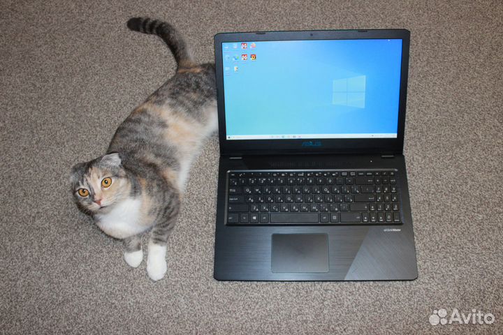 Ryzen 5 +6 Гб +SSD 256 Гб +FullHD + GTX 1050 4 Гб