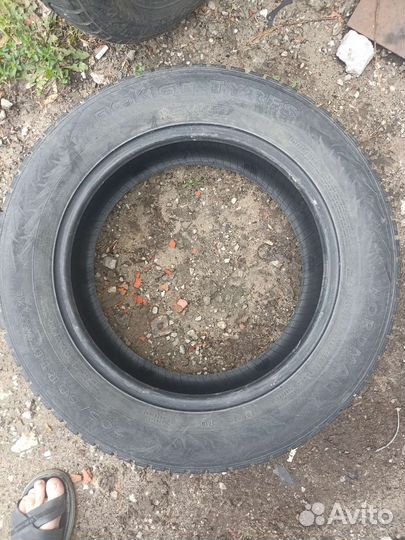 Nokian Tyres Nordman 7 205/60 R16