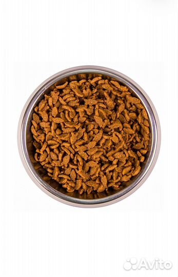 Корм для кошек monge с лососем 10 кг