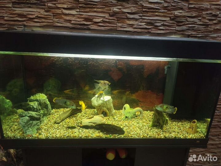 Аквариум с тумбой 300 литров