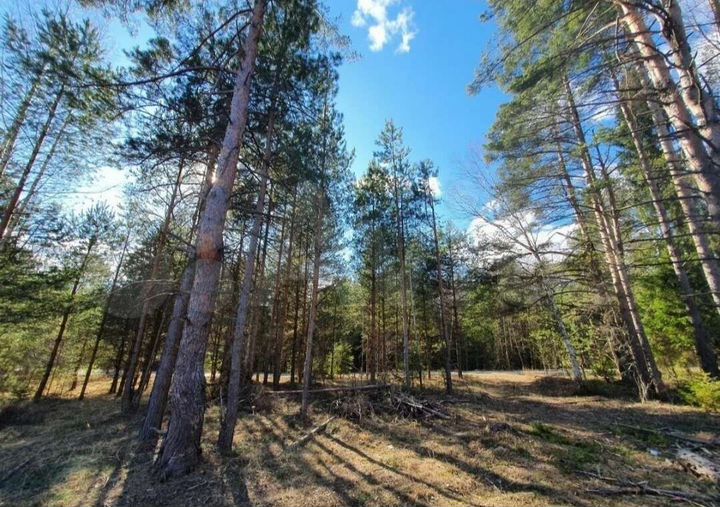 Участок 20 га (ИЖС)