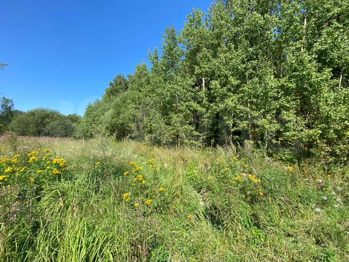 Участок 22 сот. (ИЖС)