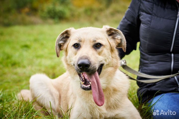 Бьянка жизнерадостная и ласковая