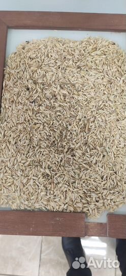 Комбикорм, зерно, дробленка доставка