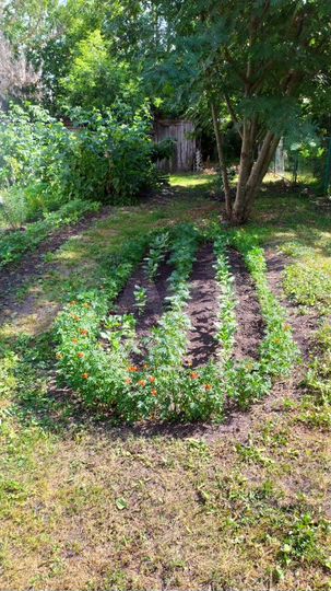 Дом 56 м² на участке 11 сот.